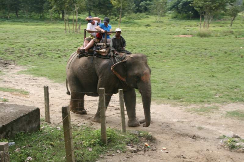 India & Nepal 2011 - 0539